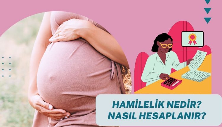 Hamilelik Nedir? Nasıl Hesaplanır?
